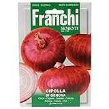 foto: acquista franchi cipolla rossa di Genova on-line, miglior prezzo EUR 2,61 nuovo 2024-2023 bestseller, recensione