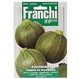 foto: acquista Seeds of Italy Ltd-sementi da piante da frutto, zucchine) on-line, miglior prezzo EUR 2,61 nuovo 2024-2023 bestseller, recensione