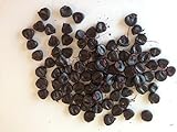 foto: acquista 20 semi di mais nero Piante semi di ortaggi frutta Seeds on-line, miglior prezzo EUR 3,50 nuovo 2024-2023 bestseller, recensione