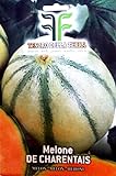 foto: acquista 120 C.ca Semi Melone De Charentais - Cucumis Melo In Confezione Originale Prodotto in Italia - Meloni on-line, miglior prezzo EUR 7,40 nuovo 2024-2023 bestseller, recensione