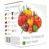 foto: acquista Plant Theatre Wacky Tomatoes Kit - 6 diverse varietà da coltivare - Regalo ideale on-line, miglior prezzo EUR 16,99 nuovo 2024-2023 bestseller, recensione