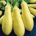 foto Precoce maturazione lunga bianca Melanzana F1 Vegetable Seeds, pacchetto all'ingrosso, 200 semi, Nizza KK179 pelle 2024-2023
