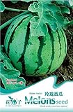 foto: acquista B001 8 Semi Anguria - Citrullus lanatus In Confezione Originale - Angurie on-line, miglior prezzo EUR 7,40 nuovo 2024-2023 bestseller, recensione