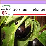 foto: acquista PLAT firm-SEMI SAFLAX - Melanzana - 20 semi - Solanum melonga on-line, miglior prezzo EUR 10,64 nuovo 2024-2023 bestseller, recensione
