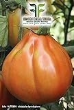 foto: acquista 700 C.ca Semi Pomodoro Pearson - Lycopersicum Esculenthum In Confezione Originale Prodotto in Italia - Pomodori on-line, miglior prezzo EUR 7,40 nuovo 2024-2023 bestseller, recensione