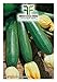 foto 40 C.ca Semi Zucchino Ambassador Hybrid - Cucurbita Pepo In Confezione Originale Prodotto in Italia - Zucchine 2024-2023