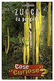 foto: acquista Semi - Zucca da Pergola (Lagenaria longissima) on-line, miglior prezzo EUR 4,64 nuovo 2024-2023 bestseller, recensione