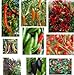 foto Collezione di semi di peperoncino - 10 confezioni, 10 varietà, 100 semi. 2024-2023