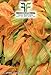 foto 40 C.ca Semi Zucchino da fiori - Cucurbita Pepo In Confezione Originale Prodotto in Italia - Zucchine da fiore 2024-2023