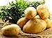 foto Bloom Green Co. 100pcs Giant & amp; I semi di patate viola anti-rughe Nutrizione verde vegetale per il giardino domestico di semina di piante di patate giardino rare: 7 2024-2023