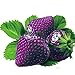 foto Ncient 50/100 Semi Sementi di Fragola Multicolore Strawberry Semi di Frutta Fiori Rari Profumati Fiori Piante per Orto Giardino Balcone Interni ed Esterni 2024-2023