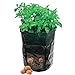 foto Moonvvin Garden Grow Bag,7 Gallon Heavy Duty Durevole Borsa con Manici Verdura Patate Sacchi per Patate, Carota, Cipolla e Verdure Fiore pianta 2024-2023