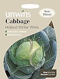 foto: acquista Unwins Pictorial pacco – cavolo Holland Winter bianco – 200 semi on-line, miglior prezzo EUR 1,66 nuovo 2024-2023 bestseller, recensione