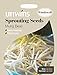 foto Unwins Pictorial pacco – germinazione semi di fagioli – 600 semi 2024-2023