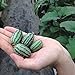 foto Rosepoem 10pcs mini semi di anguria pollice semi Meravigliosamente delizioso Semi di Cucamelon 10 PEZZI 2024-2023