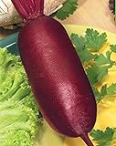 foto: acquista Semi di barbabietola rossa Rival agricoltura biologica Heirloom vegetali non OGM on-line, miglior prezzo EUR 10,99 nuovo 2024-2023 bestseller, recensione