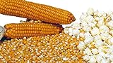 foto: acquista Semi Di Mais Da Pop Corn 50g on-line, miglior prezzo EUR 4,40 nuovo 2024-2023 bestseller, recensione