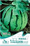 foto: acquista Portal Cool 1 confezione di semi di melone semi di ortaggi biologici semi nutrienti piante da giardino caldo on-line, miglior prezzo EUR 9,99 nuovo 2024-2023 bestseller, recensione