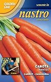foto: acquista CAROTA NANTES IN NASTRO on-line, miglior prezzo EUR 2,22 nuovo 2024-2023 bestseller, recensione
