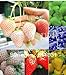 foto 12 tipi fragola semi (rosso, blu, verde, giallo, bianco, nero) Seasons 12 confezioni 240pcs semi di frutta Bonsai fai da te 2024-2023