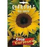 foto: acquista Semi - Girasole Big Smile on-line, miglior prezzo EUR 6,35 nuovo 2024-2023 bestseller, recensione