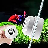 foto: acquista Gudelaa mini Magnetic Cleaner alghe acquario detergente per vetri acquari Fish Tank Cleaner on-line, miglior prezzo EUR 7,07 nuovo 2024-2023 bestseller, recensione