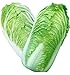 foto KINGDUO Semi di Cavolo Delizioso Cinese di 100Pcs Nutriente Verde Verdura Semi di Brassica Piante Giardino 2024-2023