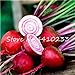 foto Pinkdose 200 Pz Barbabietole Bonsai Giardino Esterno Planta Boltardy Juicy Barbabietola Biologico Delizioso Vegetale In Vaso Frutta Pianta Per Vaso di fiori: w 2024-2023