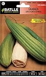 foto: acquista Semi ortaggi di Batlle - Zucca Luffa (Seeds) on-line, miglior prezzo EUR 5,29 nuovo 2024-2023 bestseller, recensione