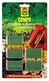 foto: acquista Compo Concime in Bastoncini Universale, Verde, 18,4x7,7x32 cm on-line, miglior prezzo EUR 4,66 nuovo 2024-2023 bestseller, recensione