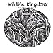 foto Wildlife Kingdom - Semi di girasole striati di alta qualità, adatti come cibo per i pappagalli parrocchetto, mangime energetico per uccelli selvatici✔ 2024-2023