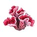 foto UEETEK Coralli rosa per decorazione acquario 2024-2023