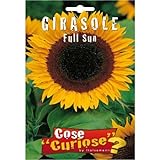 foto: acquista Semi - Girasole Full Sun on-line, miglior prezzo EUR 6,35 nuovo 2024-2023 bestseller, recensione