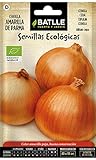 foto: acquista Semi Ecologici - Cipolla Gialla di Parma (210 Seeds - Bio) on-line, miglior prezzo EUR 3,90 nuovo 2024-2023 bestseller, recensione