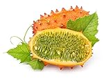 foto: acquista Kiwano, semi di melone cornuto - Cucumis metuliferus - 13 semi - 13 semi on-line, miglior prezzo  nuovo 2024-2023 bestseller, recensione