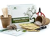foto: acquista Kit albero bonsai, cresci il tuo albero bonsai a partire dal seme – Il set regalo include 5 varietà di alberi da piantare – Coltivazione al chiuso con istruzioni dettagliate on-line, miglior prezzo EUR 19,90 nuovo 2024-2023 bestseller, recensione