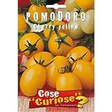 foto: acquista Semi - Pomodoro ciliegino giallo - Cherry yellow on-line, miglior prezzo EUR 6,35 nuovo 2024-2023 bestseller, recensione