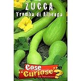 foto: acquista Vivai Le Georgiche Zucca Tromba Di Albenga (Semente) on-line, miglior prezzo EUR 3,90 nuovo 2024-2023 bestseller, recensione