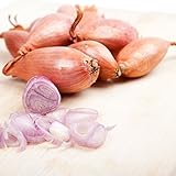 foto: acquista Semi di scalogno - Allium cepa on-line, miglior prezzo EUR 3,44 nuovo 2024-2023 bestseller, recensione