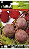 foto: acquista Semi Ortaggi Di Batlle - Barbabietola Detroit 2 (500 Seeds) on-line, miglior prezzo EUR 5,21 nuovo 2024-2023 bestseller, recensione