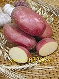 foto: acquista Pinkdose semi bonsai patata rossa di patate pelle 200 Empress Semi di ortaggi provenienti dalla Cina NO-OGM per la casa orto on-line, miglior prezzo  nuovo 2024-2023 bestseller, recensione