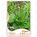foto Garden Chinese semi di cavolo verdure, 10g / sacchetto del bambino cibo home & garden Semi di piante 2024-2023