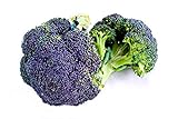 foto: acquista Broccoli Miranda semi - Brassica oleracea on-line, miglior prezzo EUR 4,66 nuovo 2024-2023 bestseller, recensione