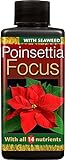 foto: acquista Growth Technology Poinsettia Focus concentrato Plant Food 100 ml on-line, miglior prezzo EUR 14,54 nuovo 2024-2023 bestseller, recensione