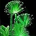 foto WuWxiuzhzhuo 100pcs rare smeraldo fluorescente semi di fiori, luce notturna che emettono piante da giardino 1 2024-2023