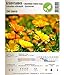 foto Semi di erbe - Calendola / Fiorrancio- Calendula officinalis - Asteraceae 200 Semi 2024-2023