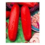 foto: acquista 10pcs / lot Red cetriolo semi deliziose verdure delle piante da frutto BonsaïPianta on-line, miglior prezzo EUR 10,99 nuovo 2024-2023 bestseller, recensione