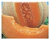 foto: acquista 150 C.ca Semi Melone Top Mark - Cucumis Melo In Confezione Originale Prodotto in Italia - Meloni on-line, miglior prezzo EUR 7,40 nuovo 2024-2023 bestseller, recensione