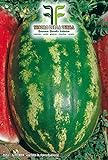 foto: acquista 35 C.ca Semi Anguria Classic Sweet - Citrullus lanatus In Confezione Originale Prodotto in Italia - Angurie on-line, miglior prezzo EUR 7,40 nuovo 2024-2023 bestseller, recensione