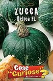 foto: acquista Portal Cool Zucca Delica F1 1 pacchetto semina 1 confezione di semi di zucca on-line, miglior prezzo EUR 9,99 nuovo 2024-2023 bestseller, recensione
